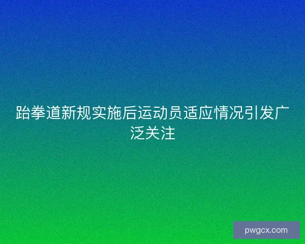 跆拳道新规实施后运动员适应情况引发广泛关注